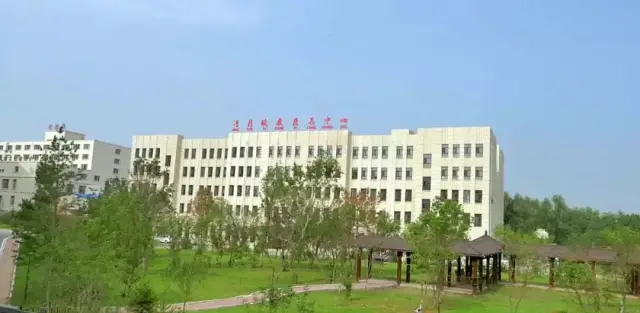 老龄化社会中的护理挑战与应对策略